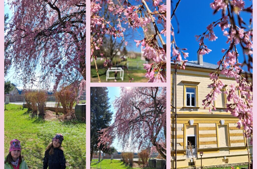 JARO NA ŠKOLNÍ ZAHRADĚ 🌸🐝🌞