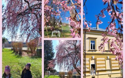 JARO NA ŠKOLNÍ ZAHRADĚ 🌸🐝🌞