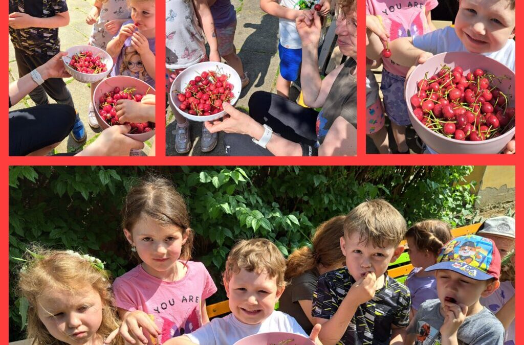 MOMENTKY Z NAŠÍ ŠKOLNÍ ZAHRÁDKY🍒🌼🌿