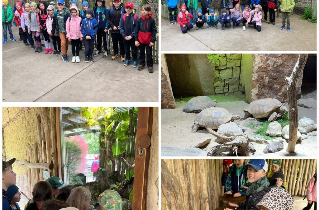 Výlet do ZOO