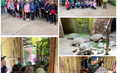Výlet do ZOO